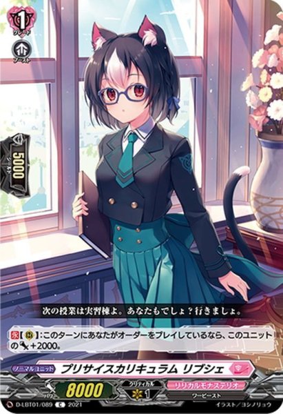 画像1: プリサイスカリキュラム リブシェ[VG_D-LBT01/089C] (1)