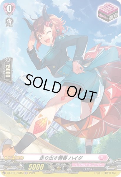 画像1: 【H仕様】走り出す青春 ハイダ[VG_D-LBT01/H45H] (1)