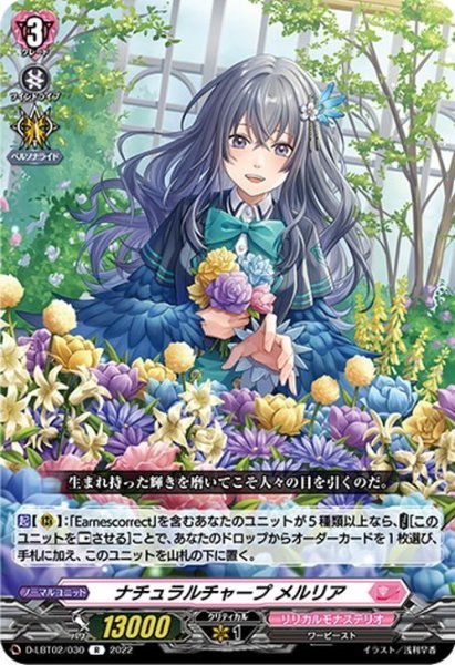 画像1: ナチュラルチャープ メルリア[VG_D-LBT02/030R] (1)