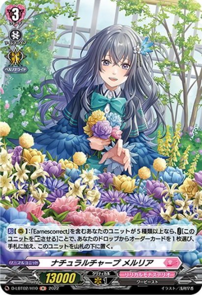 画像1: 【H仕様】ナチュラルチャープ メルリア[VG_D-LBT02/H10] (1)