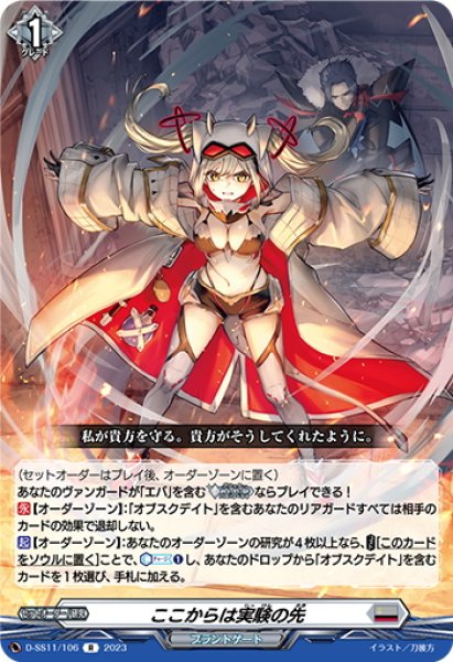 画像1: ここからは実験の先[VG_D-SS11/106R] (1)
