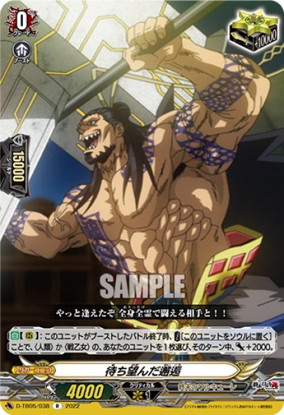 画像1: 待ち望んだ邂逅[VG_D-TB05/038R] (1)