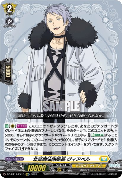 画像1: 【EXC仕様】北部魔法隊隊長 ヴィアベル[VG_DZ-BT11/EX13] (1)