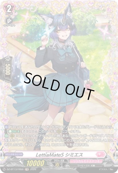画像1: 【FR仕様】LettiaMateS シミエス[VG_DZ-BT13/FR50] (1)