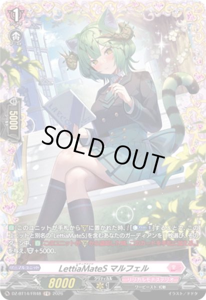 画像1: 【FR仕様】LettiaMateS マルフェル[VG_DZ-BT14/FR48] (1)