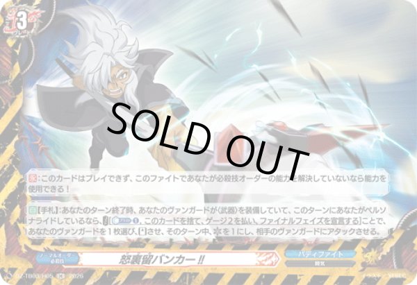 画像1: 【H仕様】怒裏留バンカー!![VG_DZ-TB03/H05] (1)
