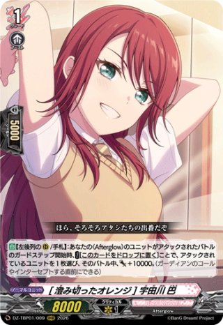 注目のブランド 澄み切ったオレンジ 宇田川巴 PGR+ 澄み切ったオレンジ
