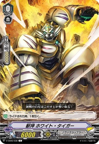 SR バトルシスター ここあ(箔押し) 買取 | [DZBT06] 時空創竜