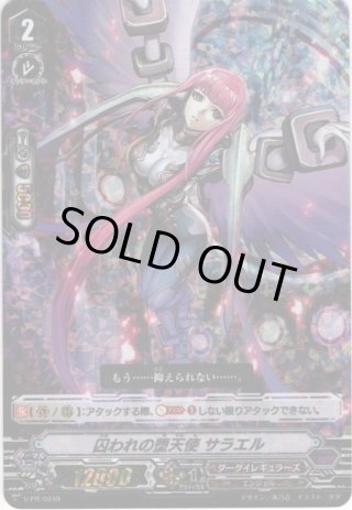 ダークイレギュラーズ - マスターズスクウェア通販ブシロード店