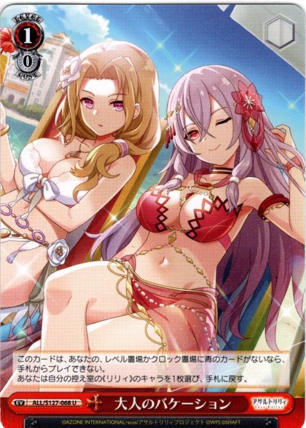 画像1: 大人のバケーション[WS_ALL/S127-068U] (1)