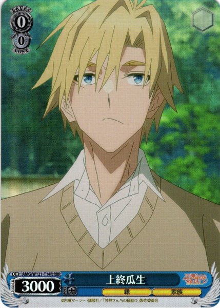 画像1: 【RRR仕様】上終瓜生[WS_AMG/W121-T14R] (1)