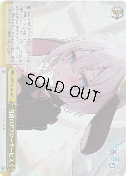 画像1: 【RRR仕様】内緒のアフターサービス[WS_AOH/W127-025R] (1)