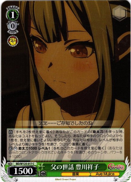 画像1: 父の世話 豊川祥子[WS_BD/W125-017C] (1)