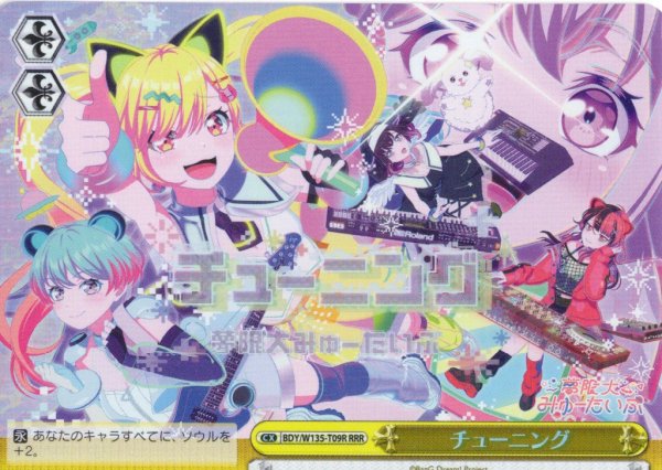 画像1: 【RRR仕様】チューニング[WS_BDY/W135-T09R] (1)