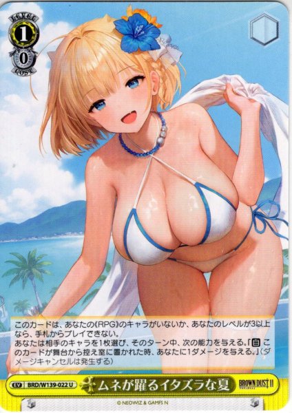 画像1: ムネが躍るイタズラな夏[WS_BRD/W139-022U] (1)
