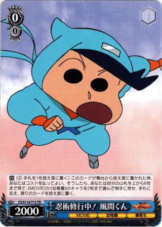 クレヨンしんちゃん　TD RRR 全17種　コンプリートセット！ クレヨンしんちゃんTD RRR 全17種コンプリートセット！