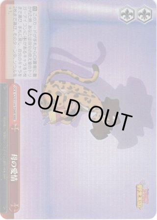 ヴァイスシュヴァルツ 2024年参戦タイトル - マスターズ