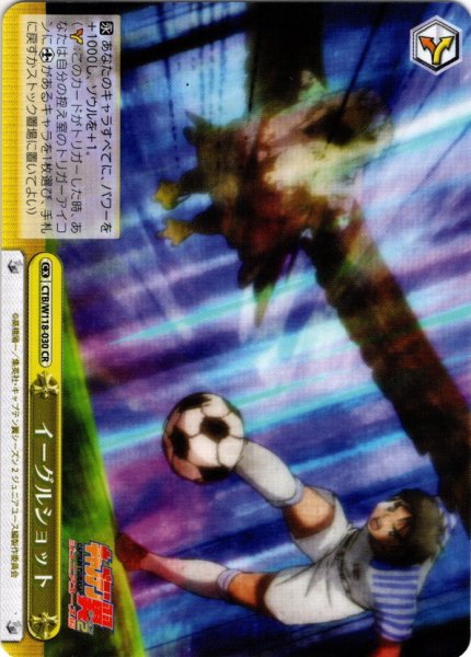 画像1: イーグルショット[WS_CTB/W118-030CR] (1)