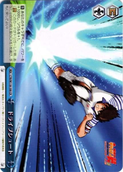 画像1: ドライブシュート[WS_CTB/W118-100CR] (1)
