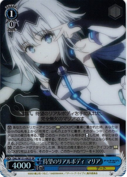 画像1: 【SR仕様(C)】待望のリアルボディ マリア[WS_DAL/W131-092S] (1)