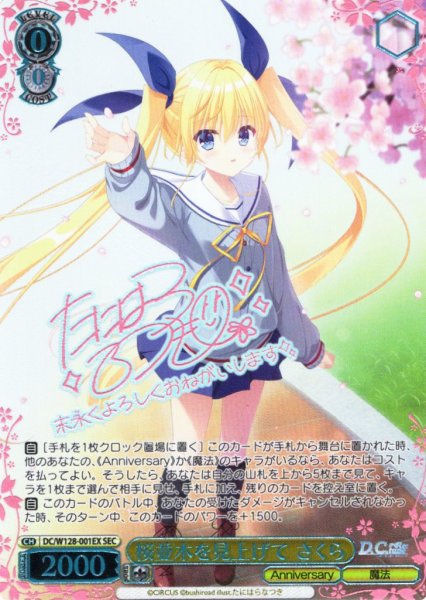画像1: 【SEC仕様】桜並木を見上げて さくら[WS_DC/W128-001EX_SEC] (1)