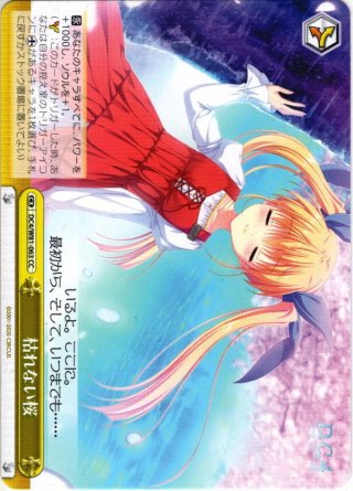 ヴァイスシュヴァルツ　枯れない桜　RRR　4枚 RRR仕様】枯れない桜[WS_DC/W81-041R] - マスターズスクウェア通販