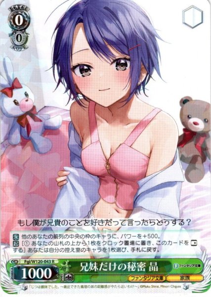 画像1: 兄妹だけの秘密 晶[WS_Fgi/W120-043R] (1)