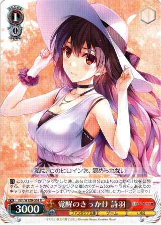 ヴァイス SP 腹黒な人気ラノベ作家 詩羽 ヴァイスシュヴァルツ Fsh