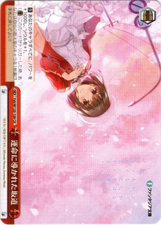 SP仕様(CR)】運命に導かれた坂道[WS_Fsh/W120-109SP] - マスターズ