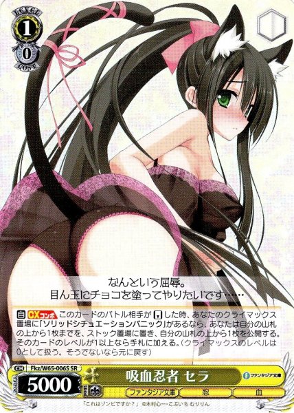 画像1: 【SR仕様(R)】吸血忍者 セラ[WS_Fkz/W65-006S] (1)