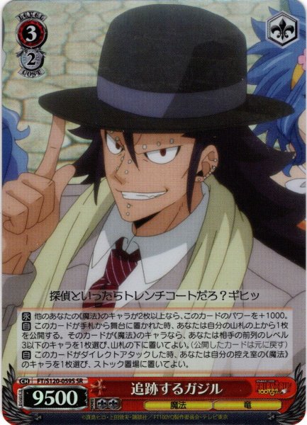 画像1: 【SR仕様(R)】追跡するガジル[WS_FT/S120-059S] (1)