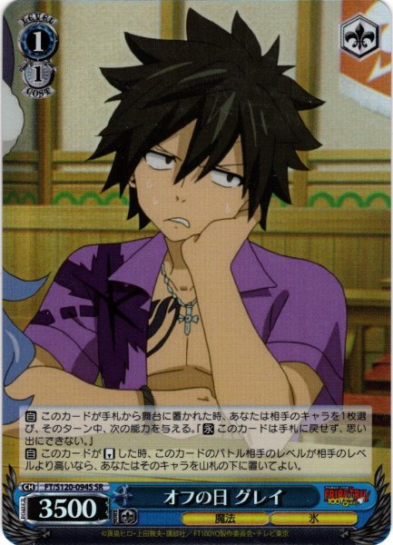 画像1: 【SR仕様(C)】オフの日 グレイ[WS_FT/S120-094S] (1)