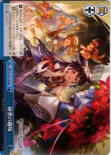 画像1: 秘密の趣味[WS_GBF/S134-116CR] (1)