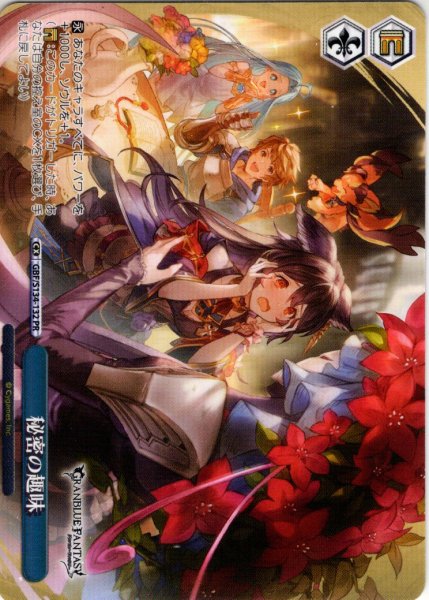 画像1: 【フレームレス仕様】秘密の趣味[WS_GBF/S134-132_PR] (1)