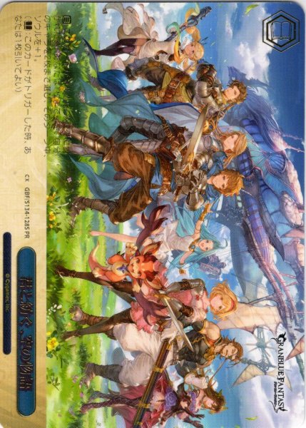 画像1: 【フレームレス箔押し仕様】君と紡ぐ、空の物語[WS_GBF/S134-128S_PR] (1)
