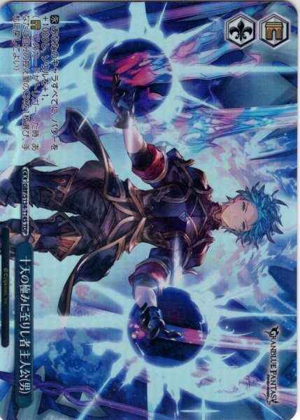 画像1: 【TDP仕様】十天の極みに至りし者 主人公(男) [WS_GBF/S134-T14S] (1)