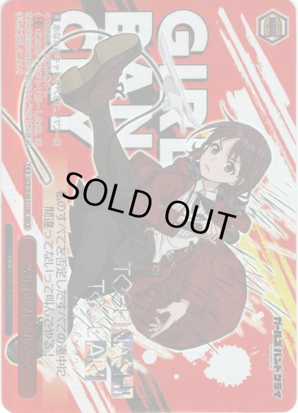 画像1: 【GBCR仕様】空白とカタルシス[WS_GCR/SE48-51GBC] (1)