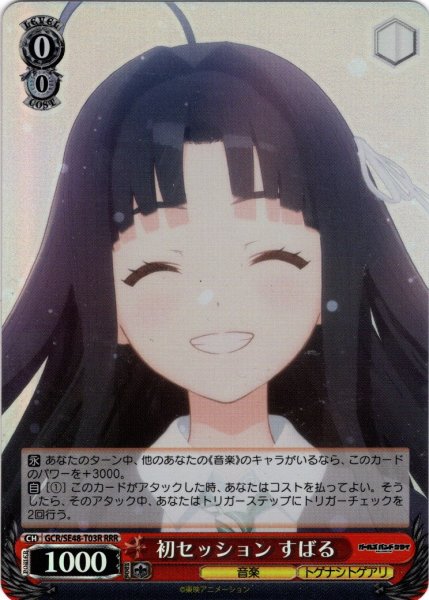 画像1: 【RRR仕様】初セッション すばる[WS_GCR/SE48-T03R] (1)