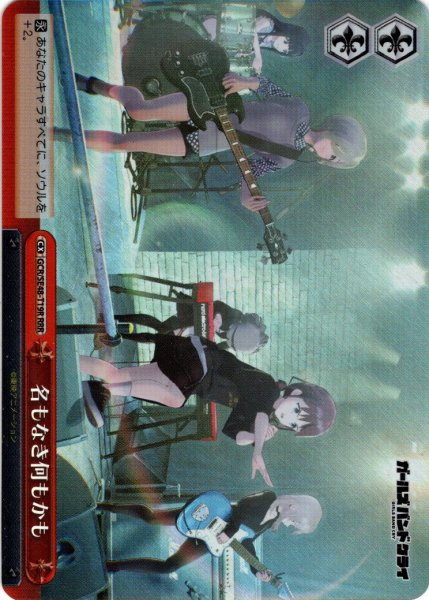 画像1: 【RRR仕様】名もなき何もかも[WS_GCR/SE48-T19R] (1)