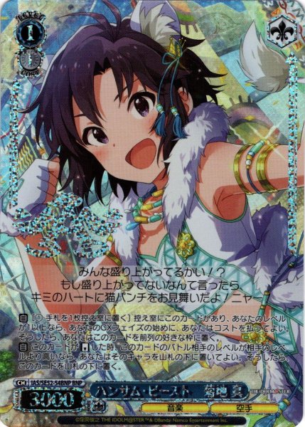 画像1: 【BNP仕様】ハンサム・ビースト　菊地 真[WS_IAS/SE52-54BNP] (1)