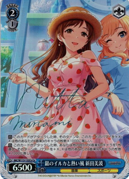 画像1: 【Co仕様(C)】銀のイルカと熱い風 新田美波[WS_IMC/W115-132Co] (1)
