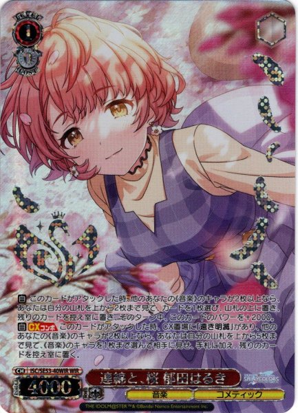 画像1: 【WIR仕様】連綿と、桜 郁田はるき[WS_ISC/SE53-40WIR] (1)