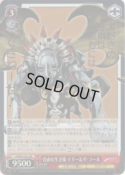 画像1: 【JJR仕様】自由な生き様 イギー＆ザ・フール[WS_JJ/SE41-52J] (1)