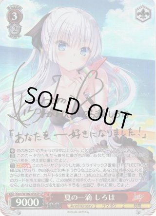 SP仕様(R)】のんびりソロキャンパー リン[WS_YRC/W116-071SP
