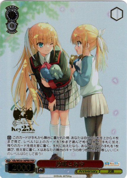 画像1: 【PRR仕様】沙耶とあや[WS_Klb/WE50-36PRR] (1)