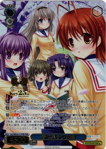 画像1: 【PRR仕様】春に集う少女達[WS_Kcl/WE50-51PRR] (1)