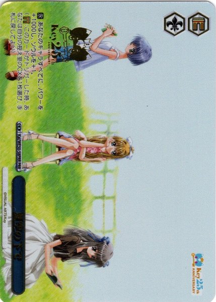 画像1: 【PRR仕様】夏空の下で[WS_Kai/WE50-58PRR] (1)