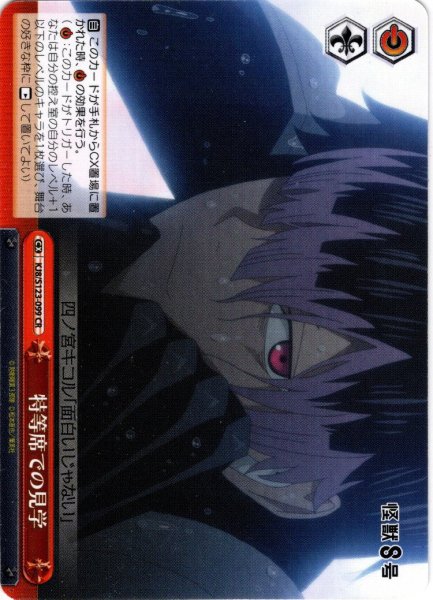 画像1: 特等席での見学[WS_KJ8/S123-099CR] (1)