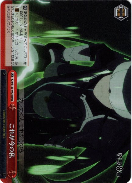 画像1: 【RRR仕様】これが今の私[WS_KJ8/S123-097R] (1)