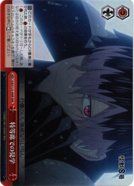 画像1: 【RRR仕様】特等席での見学[WS_KJ8/S123-099R] (1)